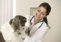 /album/petspa/pagina6006-jpg/